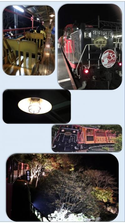 2年振りの京都・初日のメインは嵐山トロッコ列車と天竜寺でマッタリ