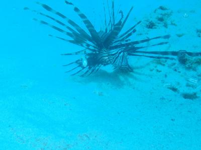 初の慶良間諸島