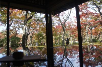2021年11月　箱根のオーベルジュ「きたの風茶寮」みずばしょうに宿泊　お食事も温泉も何もかも素晴らしいお宿でした　前編