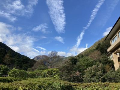 秋の箱根湯本旅行　ホテルおかだとフォレストアドベンチャー