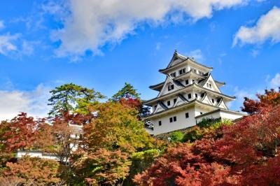 2021　紅葉を訪ねて（2)　秋の絶景・郡上八幡城の紅葉