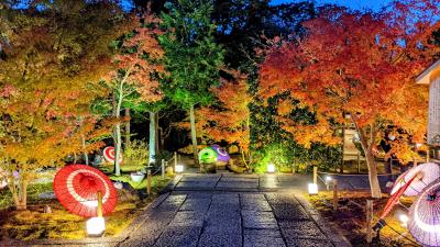 『2021年11月京都紅葉紀行③勝林寺ライトアップ』東山・祇園・北白川(京都)の旅行記・ブログ by 文月さん【フォートラベル】