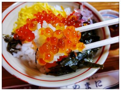 福井・東尋坊と温泉とソースカツ丼(´▽` )久しぶりの日帰り旅行！