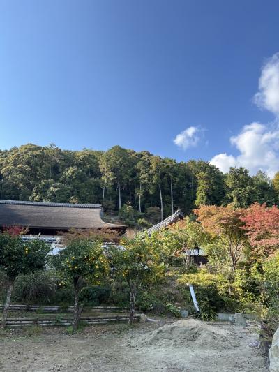 京都西賀茂エリアの正伝寺
