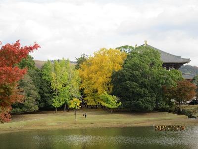 奈良公園の紅葉と水鳥