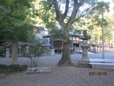 紀の国訪問記（７８）田辺・闘鶏神社に参拝。