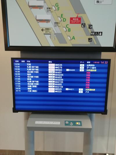 注意!!成田のpeach航空のターミナルは第三ターミナルでなく第一ターミナル!間違えて乗り遅れそうに