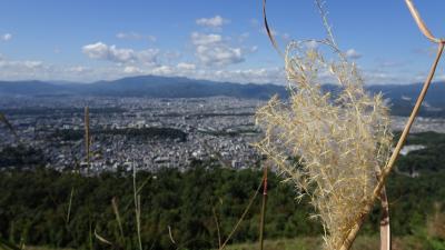 28年ぶりの京都修学旅行（大文字山・大原）