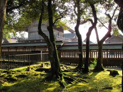 神在月の出雲の国へ行ってミタ。