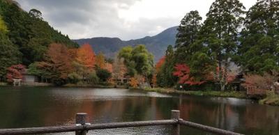 紅葉を求めて　湯布院、ゆらり六妙　九重、スパグリネスへ