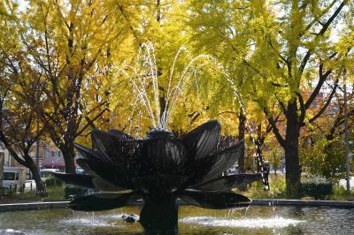 20211117-1 京都 お東さん、黄葉がえぇ感じで。東本願寺の噴水広場へ。