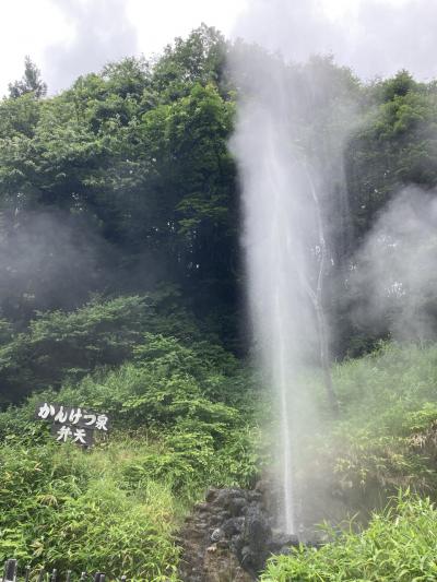 ドラクエウォーク東北コンプ編　Day1/3　宮城（鬼首間欠泉、日本三景展望台、伊達政宗像） 