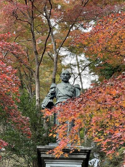 国民休暇村奥武蔵に泊まったあとは、紅葉に誘われ東郷公園へ。　そして　ジョンソンタウンへ