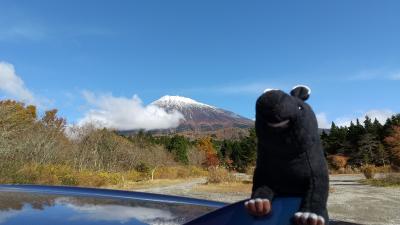 富士山に会いたい！その1・天城越え編。