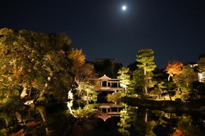 20211117-2 京都 お東さんのお庭、渉成園でライトアップやってます。入園無料ですって。