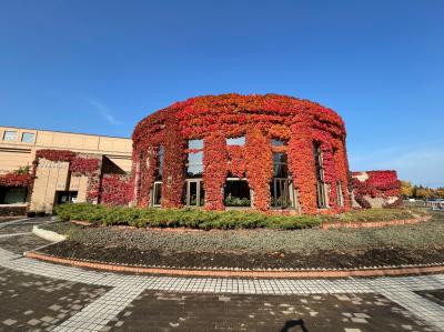 ＪＡＬで行く北海道旅行　2泊3日！　3日目　札幌編