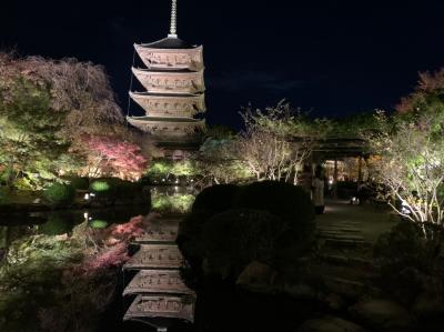 2021年11月　京都のんびり旅行　1日目