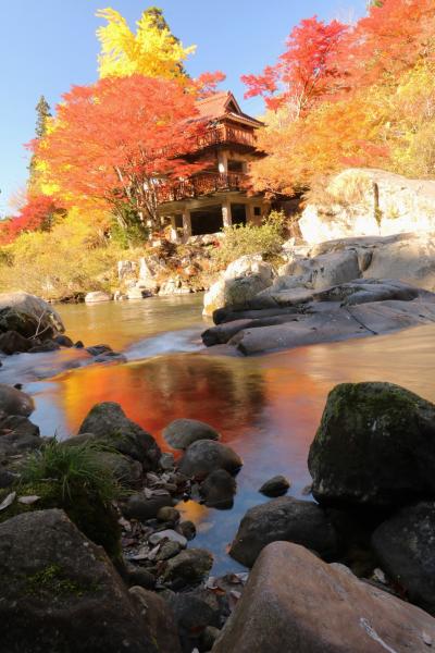 紅葉も最高潮♪　錦秋の稲武大井平公園♪＆ど派手な名古屋別小江神社♪