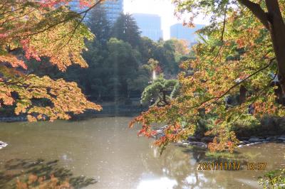 久し振りに日比谷公園を訪問②雲形の池の周りの紅葉を見る