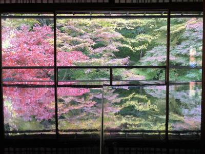 Go to 京都 28 瑠璃光院 ケーブル八瀬 比叡山頂