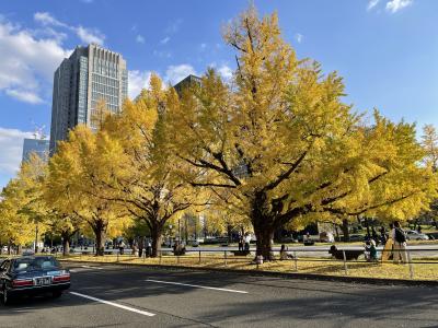 今年4回目の皇居の一般参観！