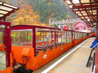 主人の希望で１泊２日のツアー富岩運河環水公園、トロッコ電車に乗ってきました(2021年11月）