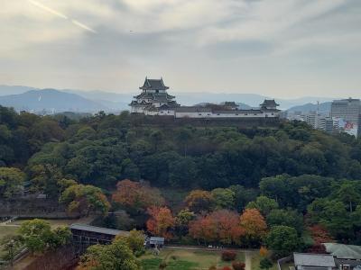 和歌山市内の観光処とグルメ処を紹介