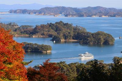ブララブコー「秋の日本三景 松島」