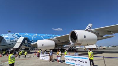 A380フライングホヌ 沖縄初フライトの旅 2021