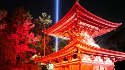 紫式部に逢いに。(石山寺もみじライトアップ)