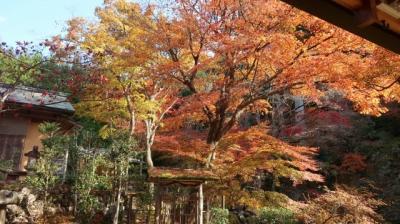 サンメンバーズひるがの＆慈恩禅寺