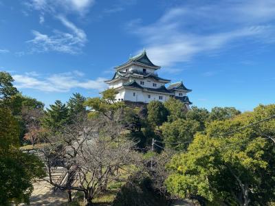 関西どこでもきっぷ2日間　2日目　和歌山城へ