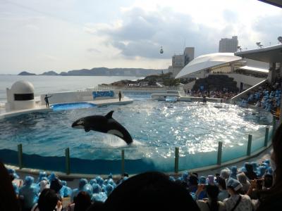 千葉鴨川１泊旅行　トロッコ列車とシーワールドで子供たち大喜び