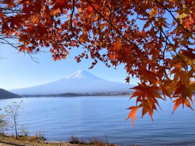 紅葉探し