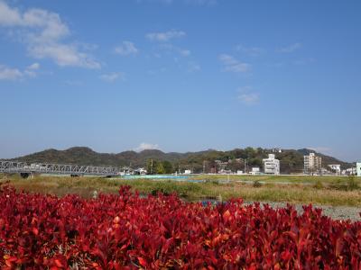 ぐるっと足利(前編)：渡良瀬川、足利織姫神社、織姫公園もみじ谷