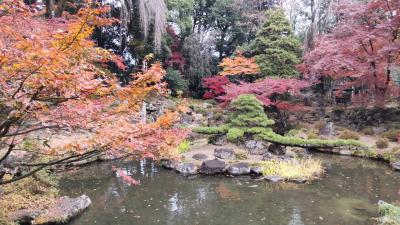 晩秋の甲州路～温泉と紅葉とちょっと散策