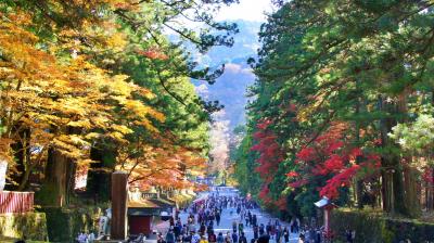 【日光&#10102;】国宝指定70周年を迎えた日光東照宮は紅葉で真っ赤に染まって感動的な秋でした。