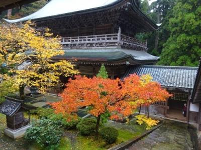 雨の中の福井の旅