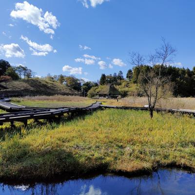 敦賀　中池見湿地と池河内湿原