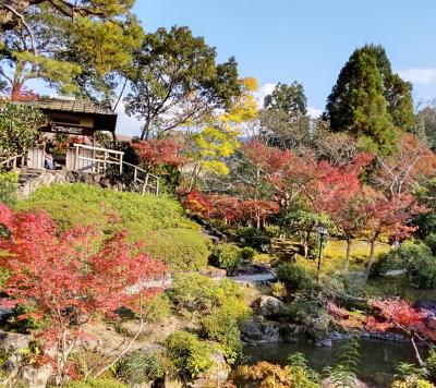 奈良公園の紅葉 吉城園