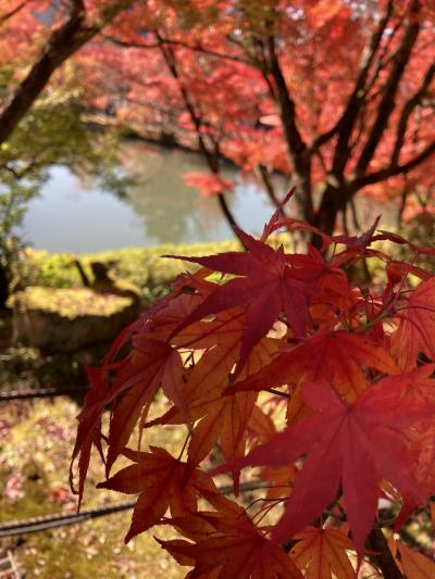 京都紅葉名所10景 D-3 下鴨神社&南禅寺