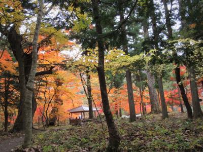 「平家の里」　紅葉の湯西川温泉