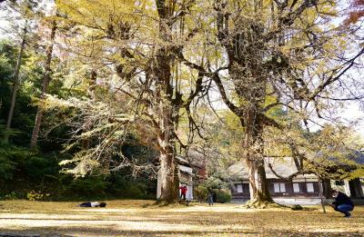 Japan　武蔵五日市　広徳寺の銀杏と黒茶屋のあんみつ、そして青木屋のおじさんが健在なのを確かめる