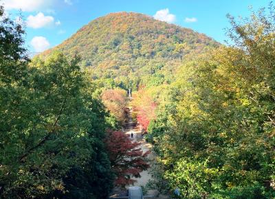 錦秋！　兵庫県・大阪府周遊の旅2021-第３部-紅葉の西宮へ郷愁紀行-