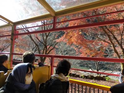 紅葉の京都 ３