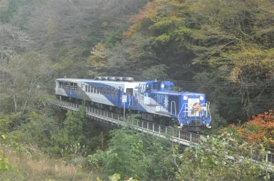 奥出雲おろち号2021年11月