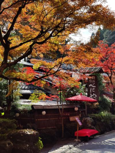 秋の京都・貴船 洛北紅葉の里山 2021年11月