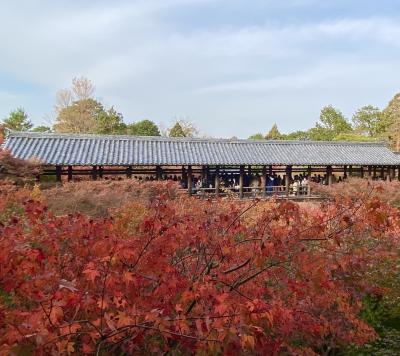 京都・紅葉大混雑スポットへ　後編　「東福寺と先斗町ランチ」