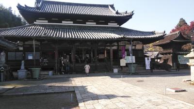 秋の紅葉の美しさに感動した寺巡りは体力が必要だった。三井寺、比叡山延暦寺、石山寺