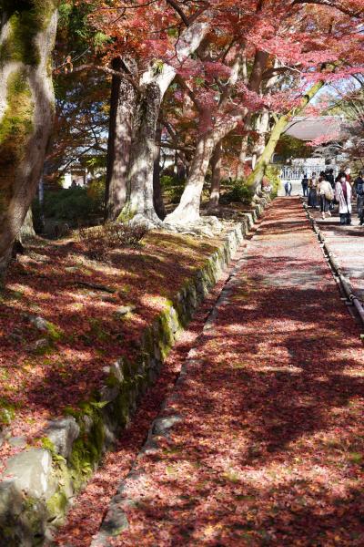 20211123-1 京都 祝日ですが、もしかして混んでないかもと毘沙門堂…やっぱ混んでるやん。